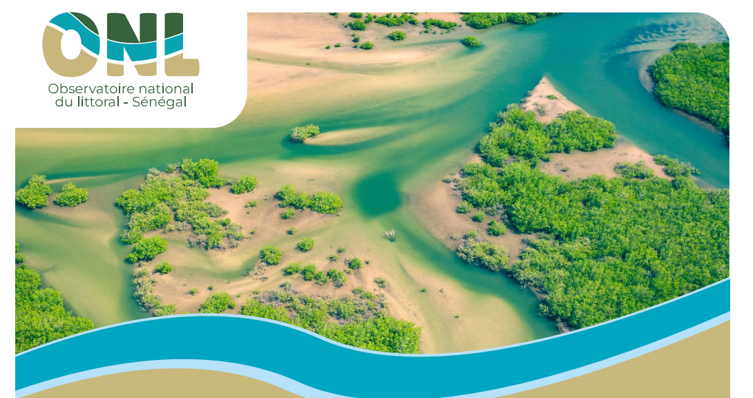 Vue aérienne du littoral sénégalais